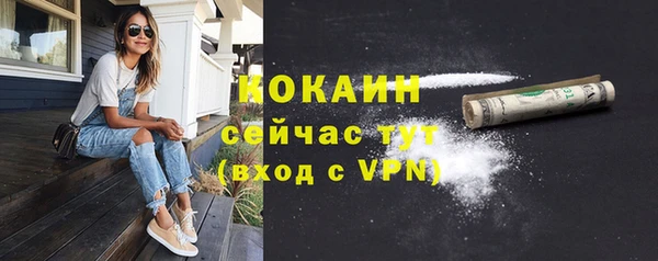 винт Гусиноозёрск