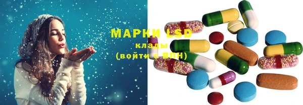 ГАЛЛЮЦИНОГЕННЫЕ ГРИБЫ Гусь-Хрустальный