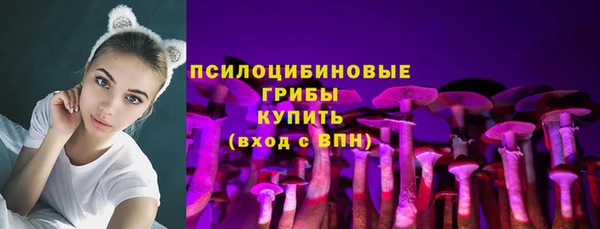 метадон Гусев
