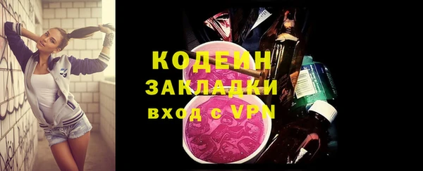 ГАЛЛЮЦИНОГЕННЫЕ ГРИБЫ Гусь-Хрустальный
