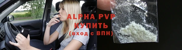 ГАЛЛЮЦИНОГЕННЫЕ ГРИБЫ Гусь-Хрустальный