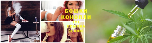 метадон Гусев