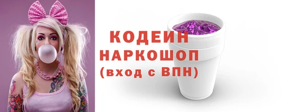 ГАЛЛЮЦИНОГЕННЫЕ ГРИБЫ Гусь-Хрустальный