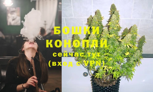 ГАЛЛЮЦИНОГЕННЫЕ ГРИБЫ Гусь-Хрустальный