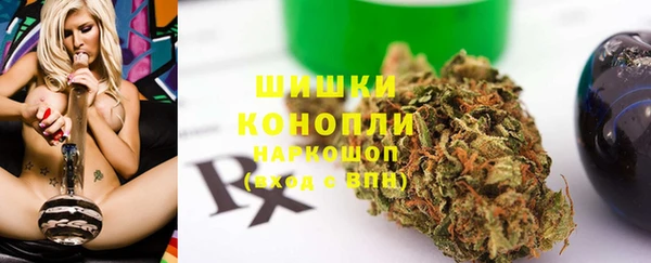 ГАЛЛЮЦИНОГЕННЫЕ ГРИБЫ Гусь-Хрустальный